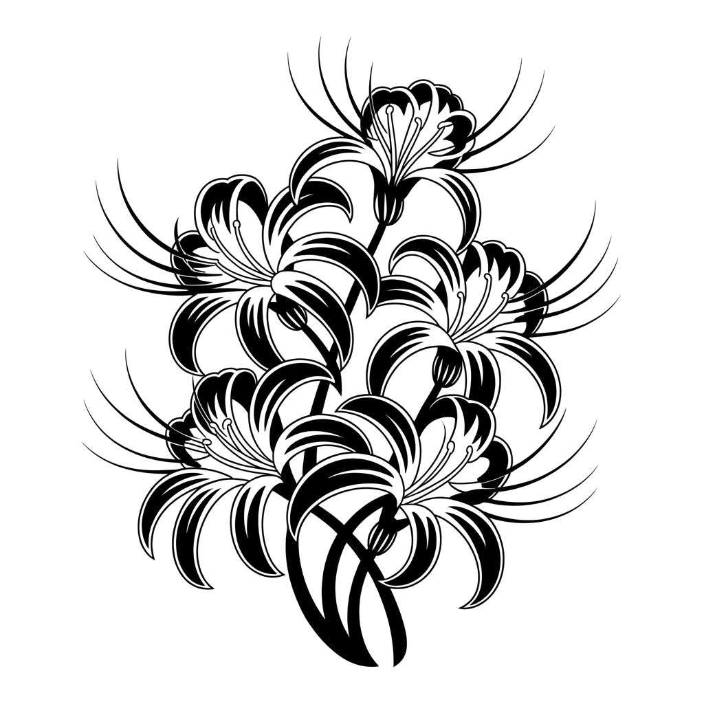 Spider lily — tattoo flash art